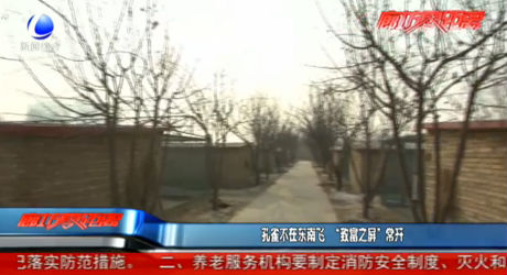 孔雀不在东南飞 “致富之屏”常开