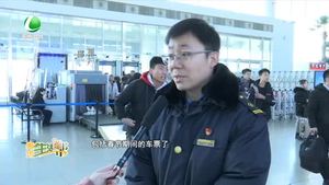 春运高峰 谨防抢票软件套路