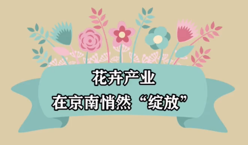 花卉产业在京南悄然“绽放