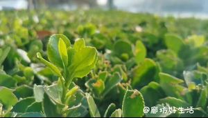 廊坊好生活，让你的生活有滋有味