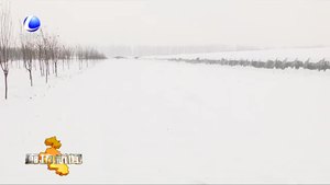市农业农村局应对降雪 保障农业生产