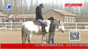 马术俱乐部落户永清韩村 普及国际马联竞赛项目——REINING