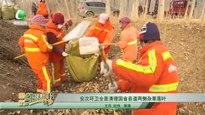 安次环卫全面清理国省县道两侧杂草落叶