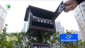 记者调查：小区内宠物拾便箱的使用率在不断提高