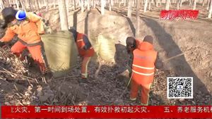 环卫彻底清扫国省县道两侧秋冬季杂草落叶 提高环境质量