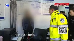 为图停车便宜使用伪造号牌 贪心车主吃大亏