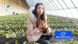 廊坊首届草莓节隆重开幕