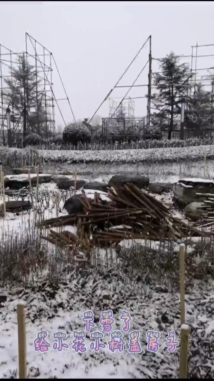 我市多举措做好树木花草防寒越冬工作