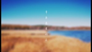 二十世纪一零年代最后一个秋天