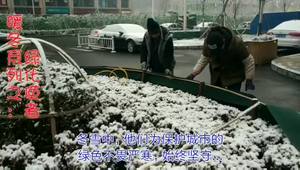 《联播》传送：暖冬系列之城市绿化师