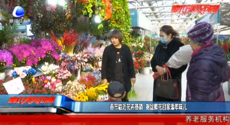 春节临近花卉热销 抱盆鲜花回家添年味儿