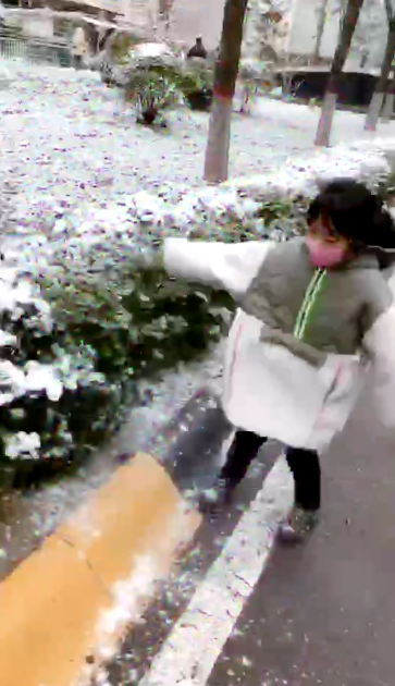 妈妈已经三天没打我了