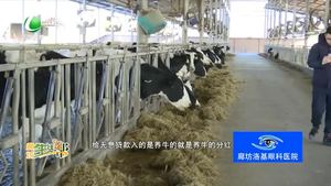 小康不小康 关键看老乡——建档立卡贫困户解承珠的幸福生活