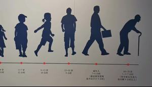 各个年龄段的睡眠时间