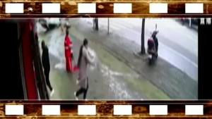 油门当刹车小车撞断大树四脚朝天