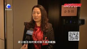 人大代表陆续报道 怀揣民声“有备而来”