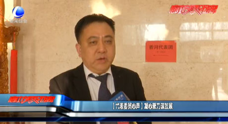 （代表委员心声）凝心聚力谋发展