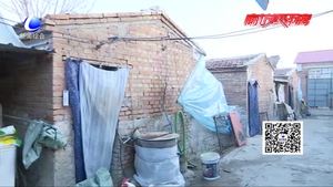 汇聚爱心 传递暖流 新春送福走进新集镇任家庄村