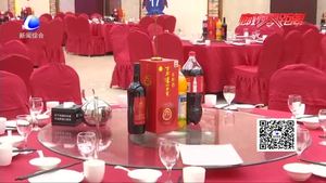 春节高速免费 交警发布出行提示