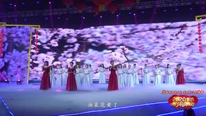 2020年廊坊市春节联欢晚会——《诗意中国》
