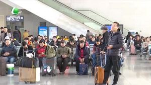 春节特别节目：回家的礼物