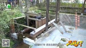 乐游天下 20200124