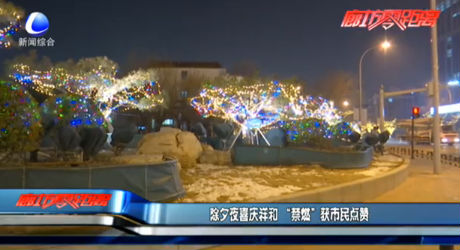 除夕夜喜庆祥和 “禁燃”获市民点赞