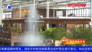 奋进新时代·新年心语话新愿