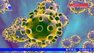 【谣言粉碎机】 别让疫情谣言满天飞（二）