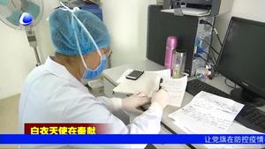 陈玉兰：奋战疫情一线 未见母亲最后一面