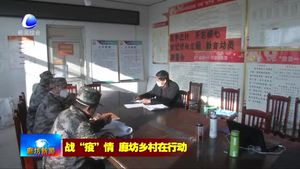 大城县北李庄村：“疫情防空老兵突击队”为村民站岗值勤