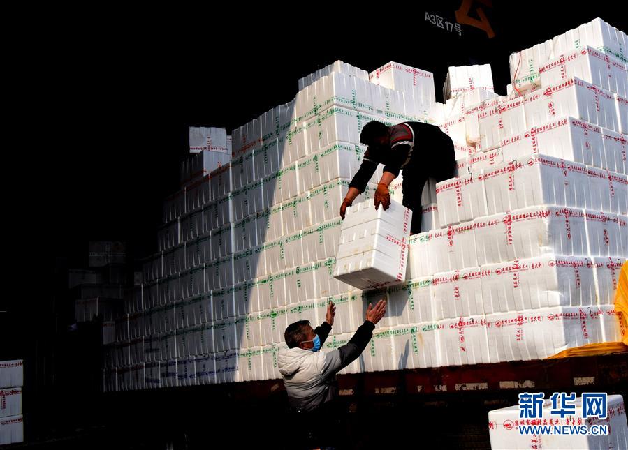 (聚焦疫情防控·图文互动)(4)吃的东西充足,做点花样菜吧!——中部地区最大农产品批发市场见闻