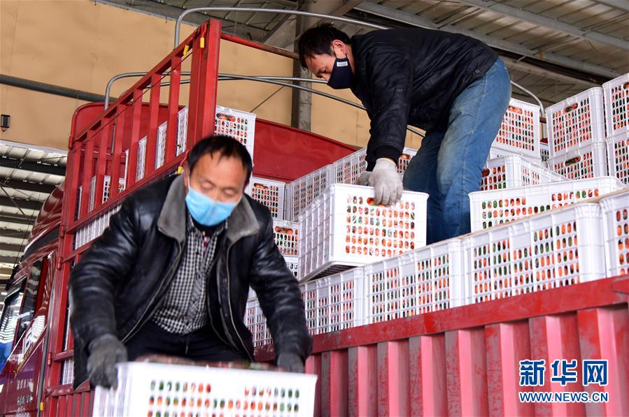 (聚焦疫情防控·图文互动)(5)吃的东西充足,做点花样菜吧!——中部地区最大农产品批发市场见闻