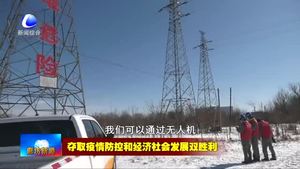 国网廊坊供电公司加强线路巡检 防疫供电两不误