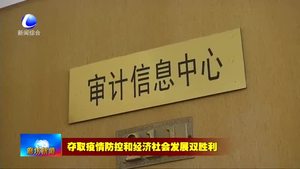 市审计局坚持疫情防控与审计工作两手抓 两不误