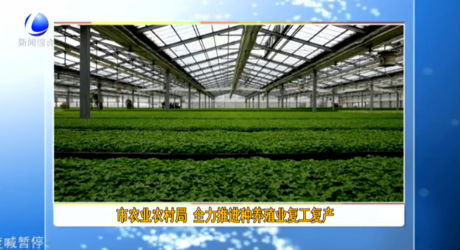 市农业农村局 全力推进种养殖业复工复产