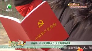杨春平：战时党课聚合力 党旗高扬战疫情