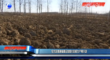 安次区葛渔城镇豆佃窑村防疫生产两不误