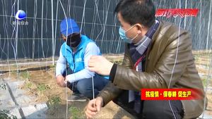疫情防控不误春耕 技术员进村下乡解难题