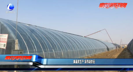 抓蔬菜生产 保市场供应