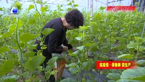 田间地头忙春耕 不负春光抢农时