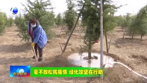 霸州市：周密安排部署 全力做好春季造林绿化工作