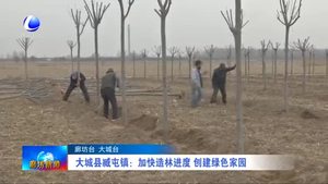 大厂县邵府镇：种下经济林 栽上摇钱树