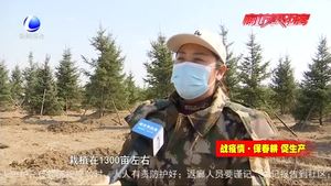 春回大地 栽植新绿正当时