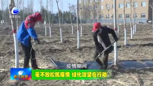 我市各地抢抓春季有利时节 植树造林美化家园