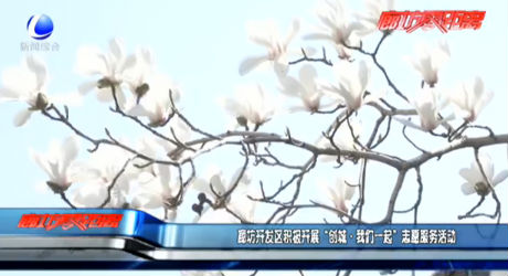 廊坊开发区积极开展“创城·我们一起”志愿服务活动