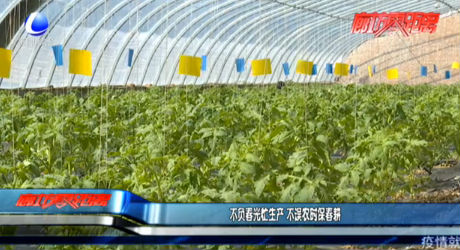 不负春光忙生产 不误农时保春耕