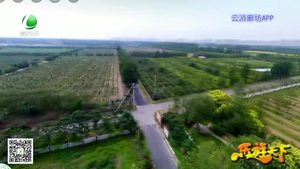 乐游天下 20200327