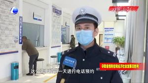 我市交通违法处理窗口服务有序恢复