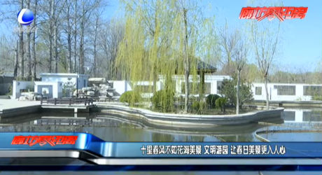 十里春风不如花海美景 文明游园 让春日美景更入人心